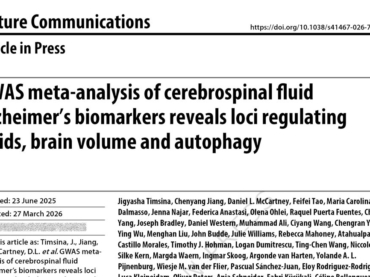 Un metaanálisis de estudios de asociación del genoma completo (GWAS) sobre biomarcadores de la enfermedad de Alzheimer en el líquido cefalorraquídeo revela loci que regulan los lípidos, el volumen cerebral y la autofagia.