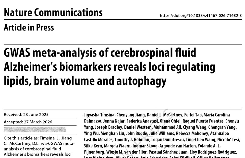 Un metaanálisis de estudios de asociación del genoma completo (GWAS) sobre biomarcadores de la enfermedad de Alzheimer en el líquido cefalorraquídeo revela loci que regulan los lípidos, el volumen cerebral y la autofagia.